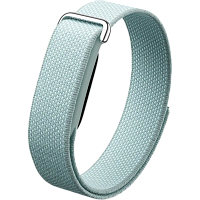 Фитнес-браслет Google Fitbit Air (Fog)
