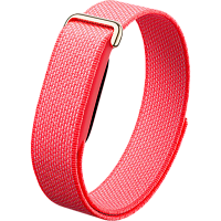 Фитнес-браслет Google Fitbit Air (Berry)